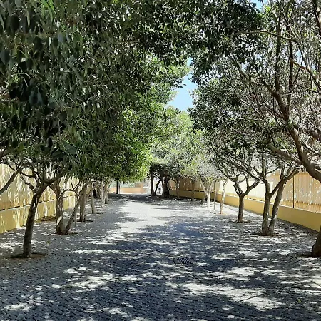 Front Beach - Quinta Da Barracuda * אלבופיירה