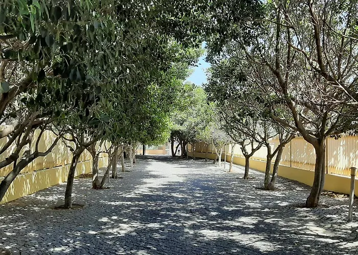 Front Beach - Quinta Da Barracuda * 알부페이라